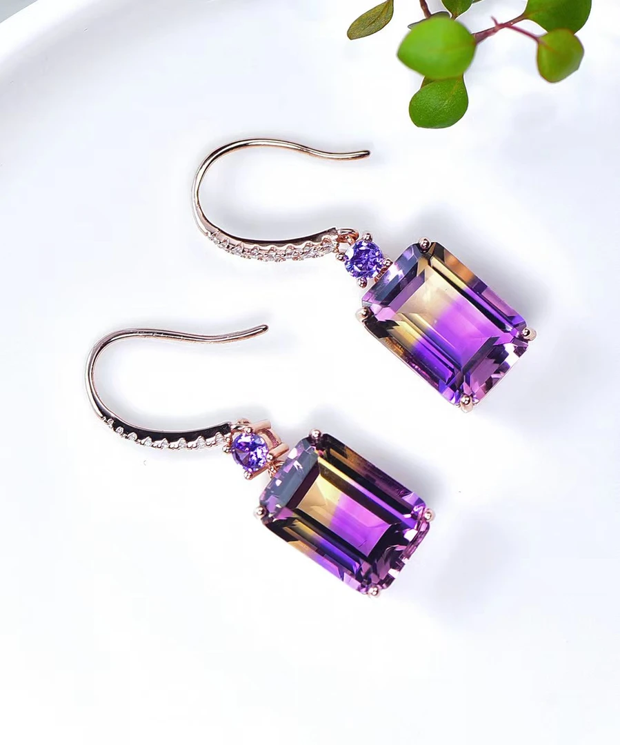 气质轻奢耳饰时尚气质轻奢耳饰时尚百搭紫色镶嵌耳钩简约长款极光