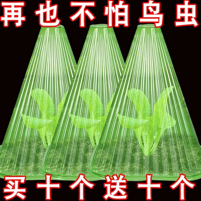 新款耐用重复使用方形大棚植物钟罩免受鸟类霜冻伤害绿色育苗保护
