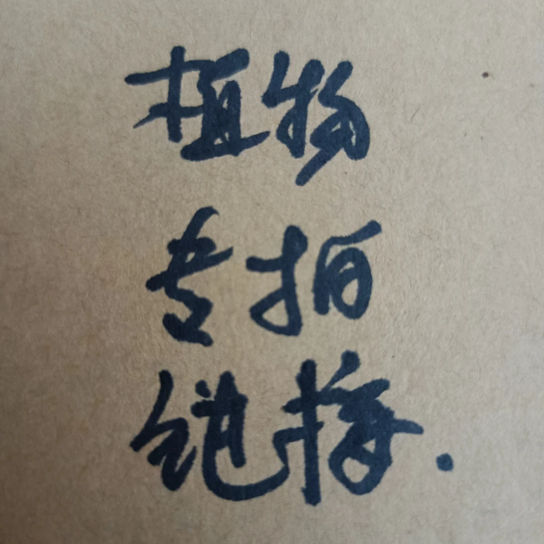 链接植物一拍一物直播间