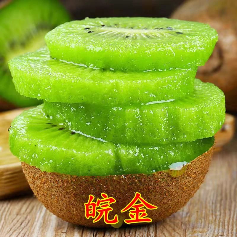 皖金猕猴桃树苗嫁接猕猴桃苗地栽当年结果猕猴桃南北方种植果树苗