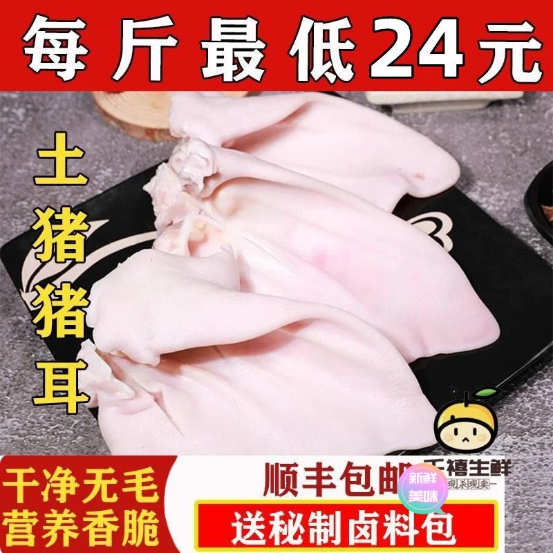 密享鲜农 生猪耳朵新鲜土猪耳朵1000g生态散养农家土猪肉