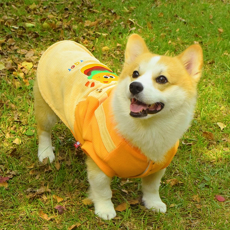柯基柴犬泰迪比熊狗狗衣服加绒保暖卫衣可牵引背心马甲汉堡变身装
