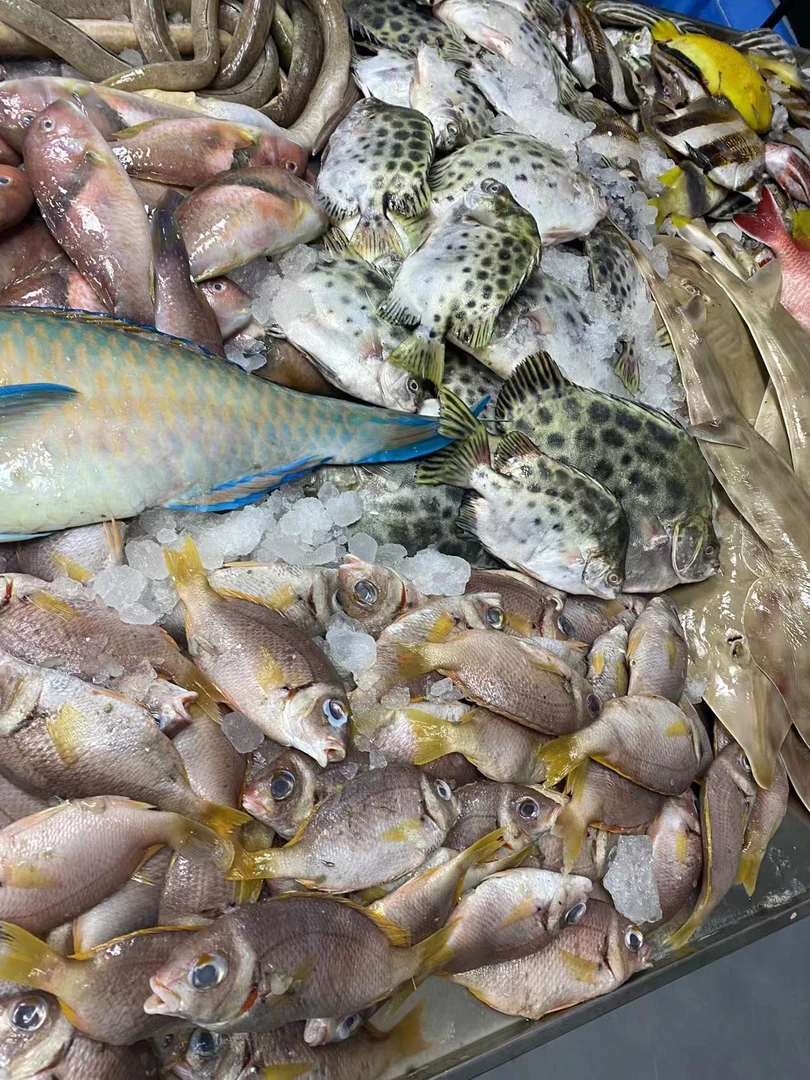 直播现称鲜鱼链接2 （重量以直播间现称为准）