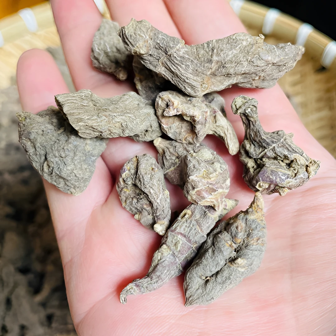 云南深山土特产高山 胰*-倒参