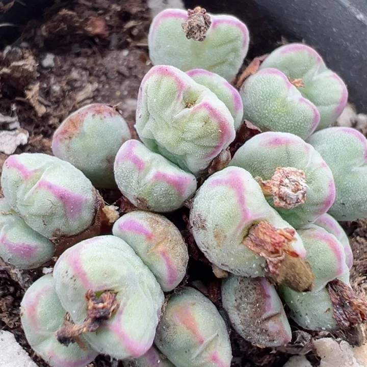 466号11111111111111