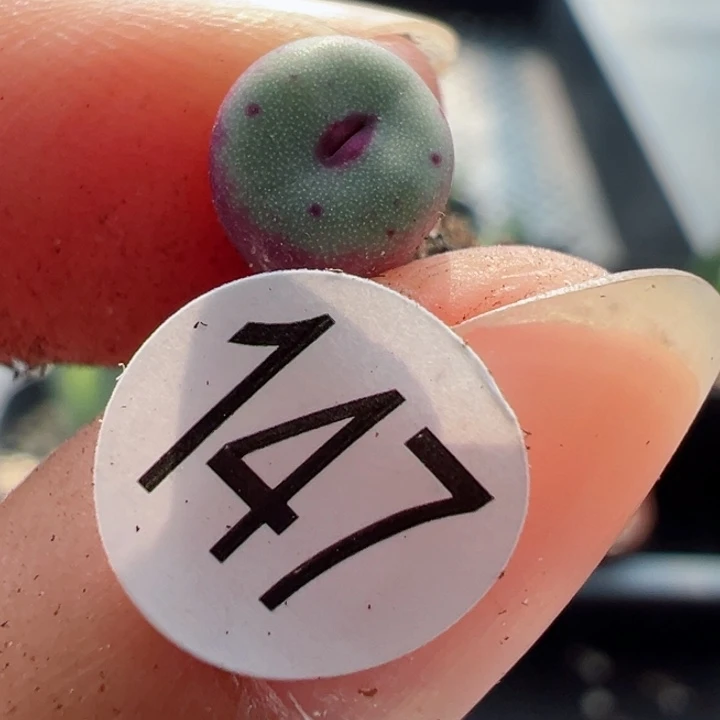 147号11111111111111