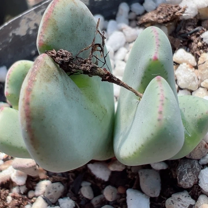 ⭐️****143好11111111111111