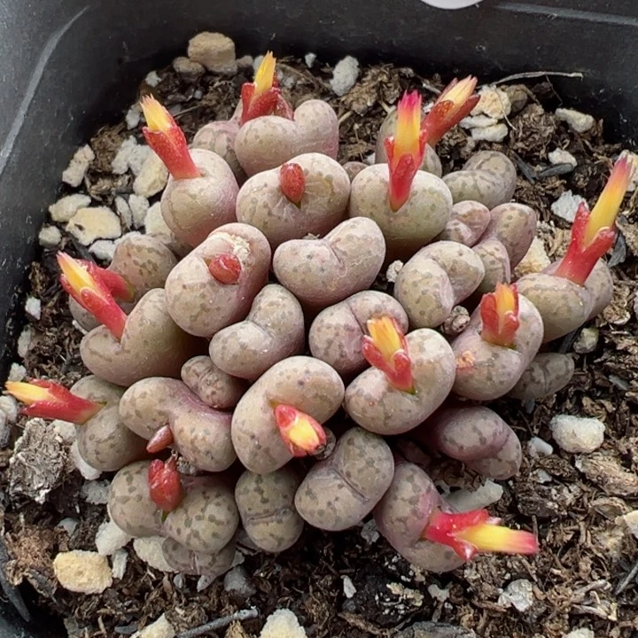 183号1111111111111111