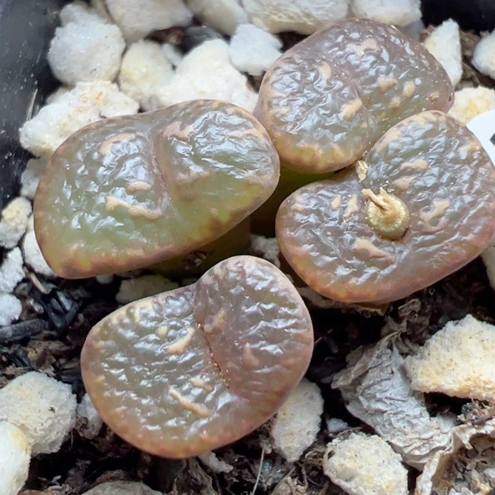 318号11111111111111