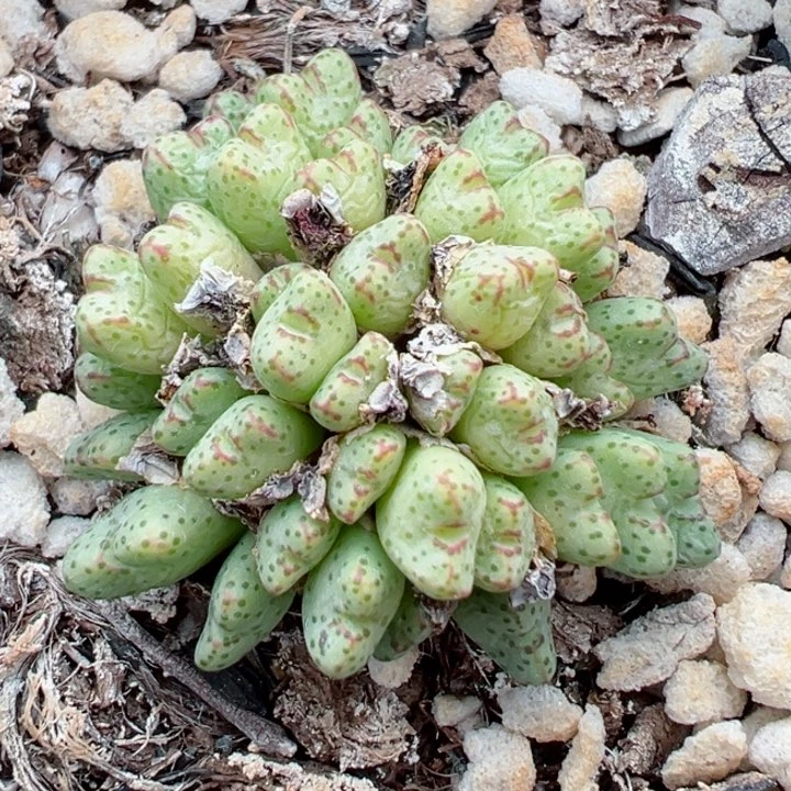 436号11111111111111