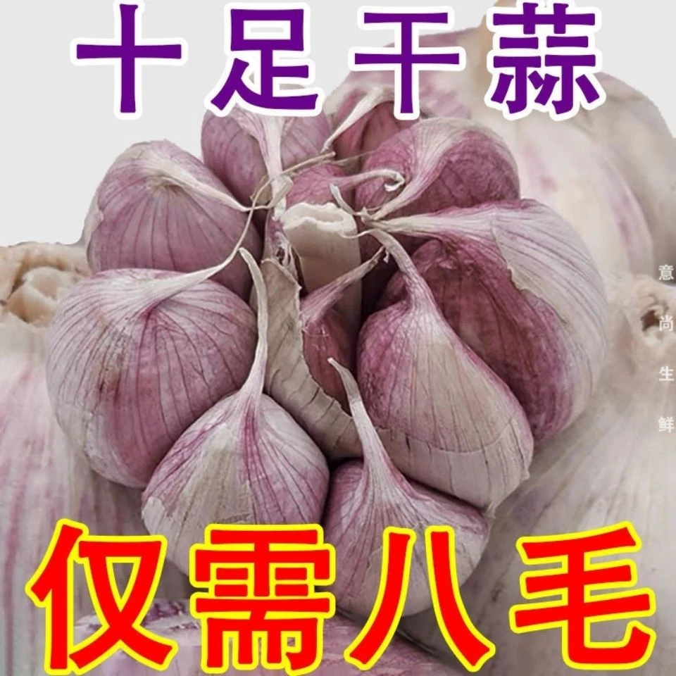 【新店半价】正宗金乡紫皮大蒜3/5斤产地直销新干大蒜山东大蒜头