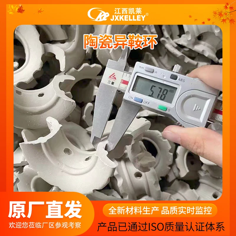陶瓷异鞍环填料 塑料异鞍环 规格25x12.5x1.2mm 化工设备填料