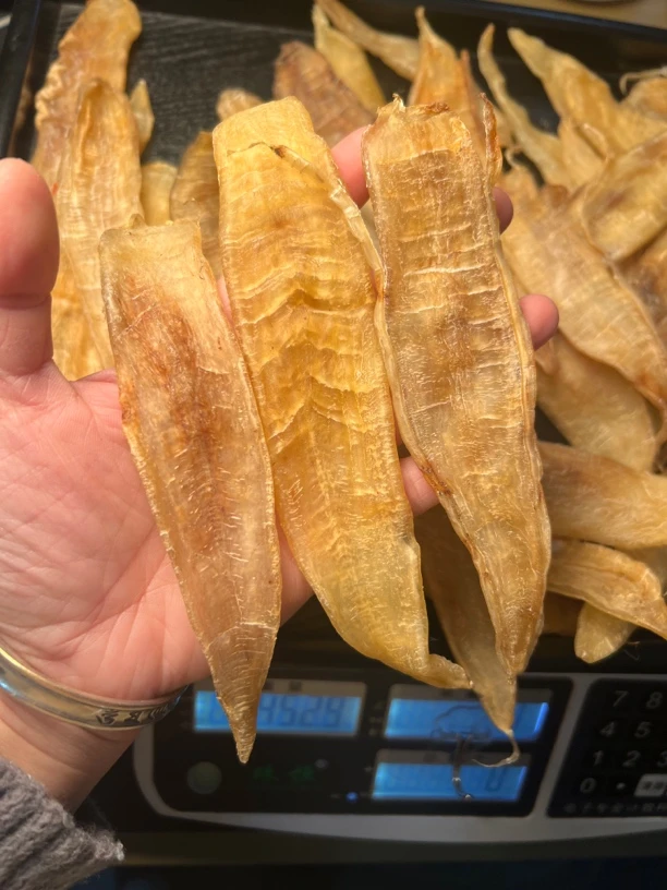 老金龙鱼胶干货花胶
