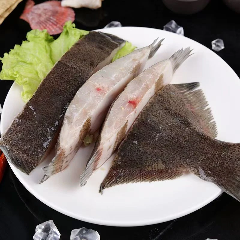 牙片左口鱼  新鲜现称 顺丰到家