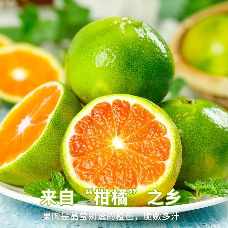 云南无籽蜜桔新鲜应季当季现摘正宗水果青皮甜橘桔子