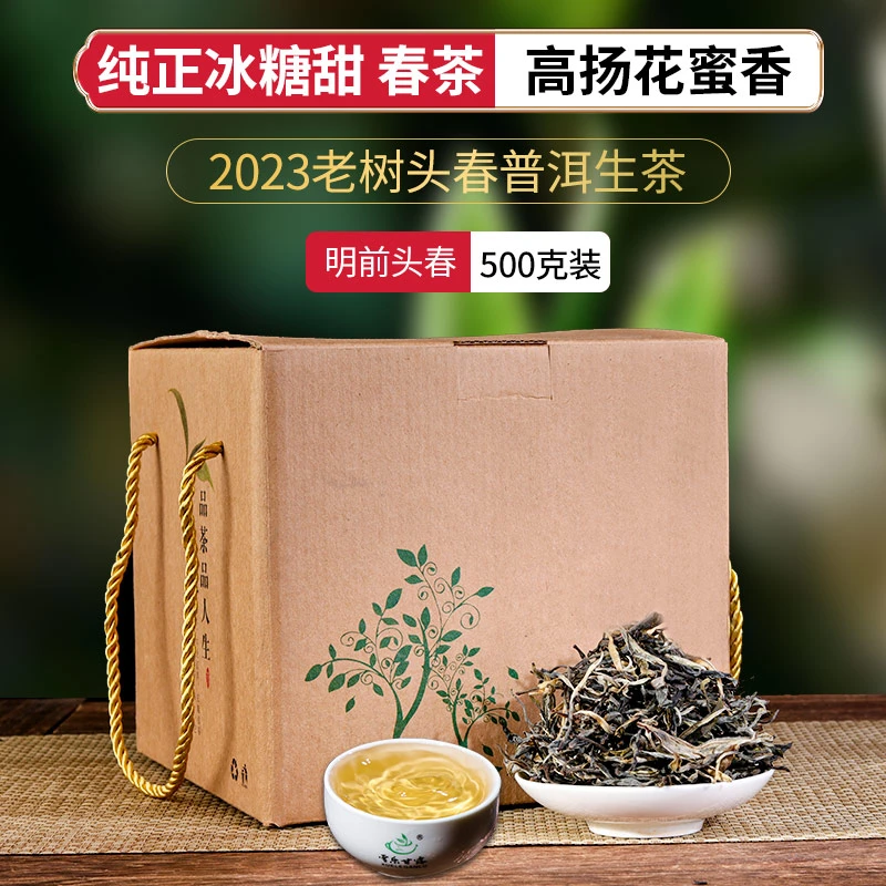 2023年头春春茶南迫普洱茶生茶老树纯料500g云南散茶口粮茶叶礼盒