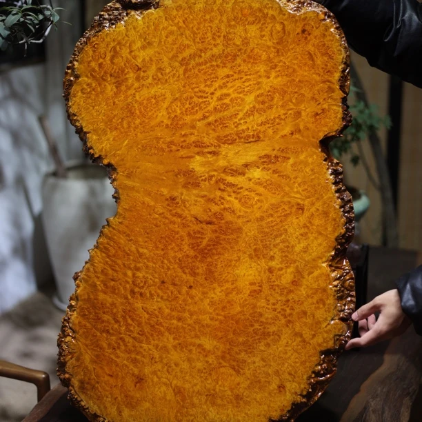 aj2716 精美黄金樟大尺寸随型干泡盘 尺寸：89-56/45-3