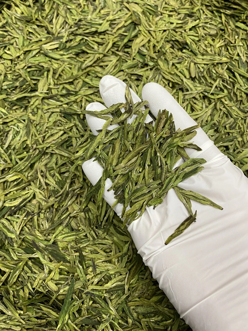 浓香型豆香龙井43-白露茶2024年（新茶）秋茶微煞口滋味浓郁浓香