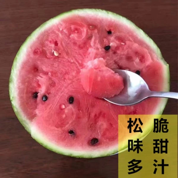 正宗上海南汇8424西瓜礼盒装 头藤西瓜新鲜水果 产地直发包甜