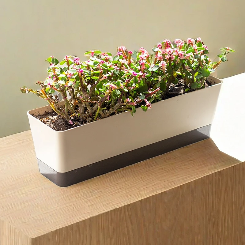 长方形窄边花盆带托盘多肉绿植塑料长条形极窄简约创意长形种植盆