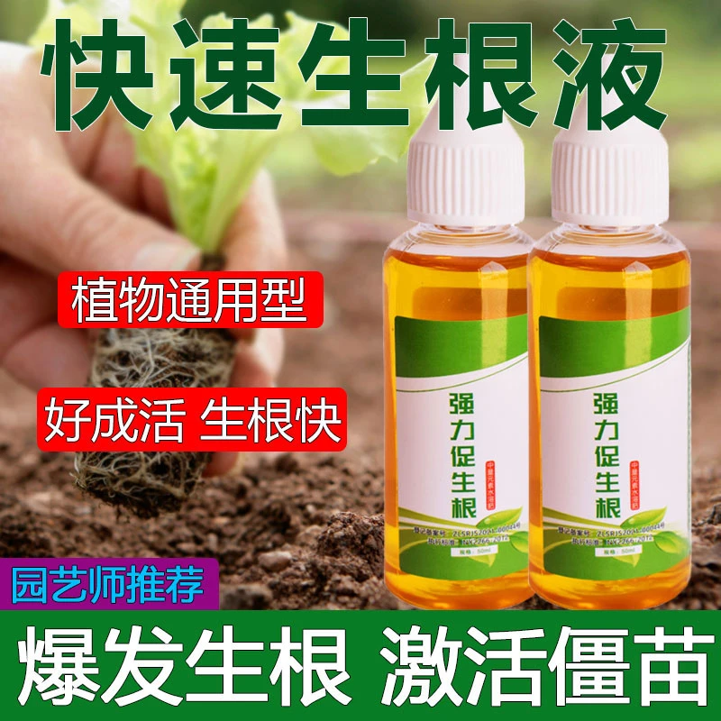 生根液植物快速生根剂水培扦插果树木通用多肉月季强力壮苗生根粉