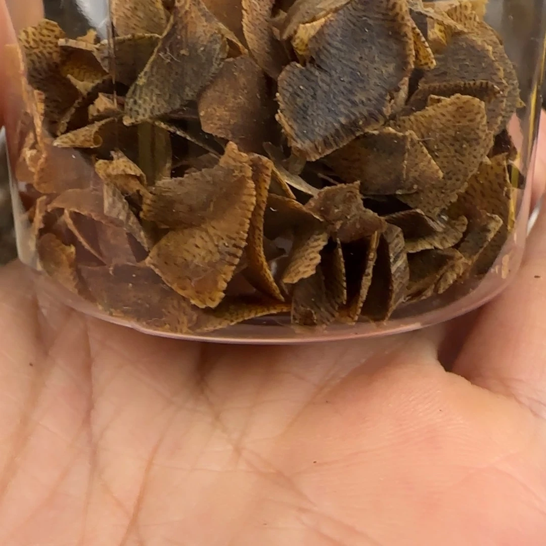 【闪购商品】一*棋楠切片