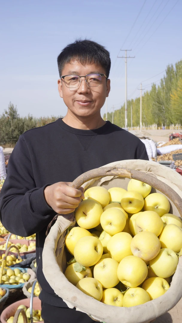 【顺丰产地直发】新疆维纳斯黄金苹果新鲜现摘脆甜多汁自然成熟