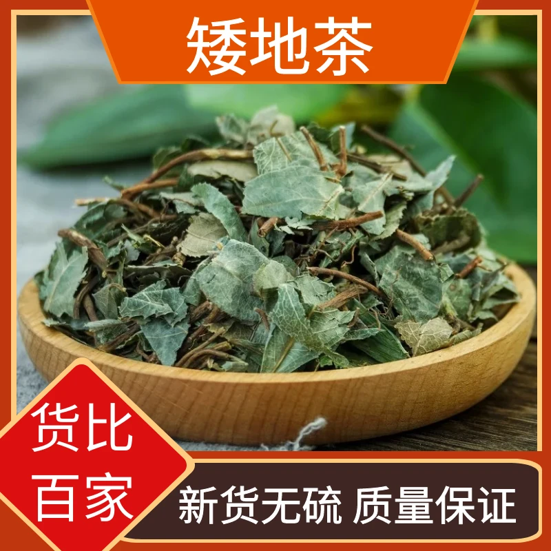 矮地茶甄选平地木不出林紫金牛叶底珠叶下红叶菜类250g500g克包邮