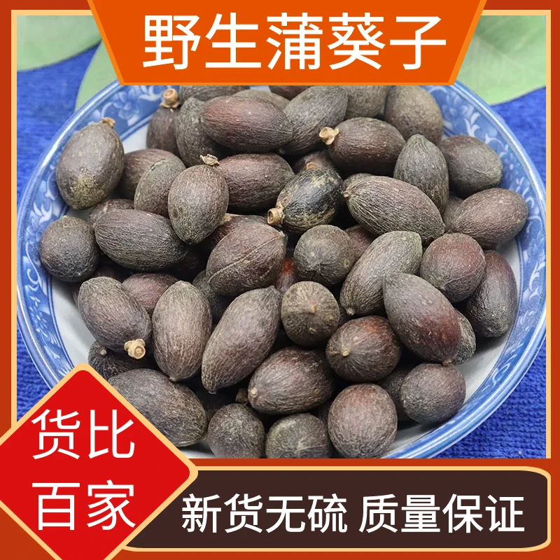 葵树子野生葵树籽广西正宗大粒蒲扇子蒲葵子老果干货无硫熏叶菜