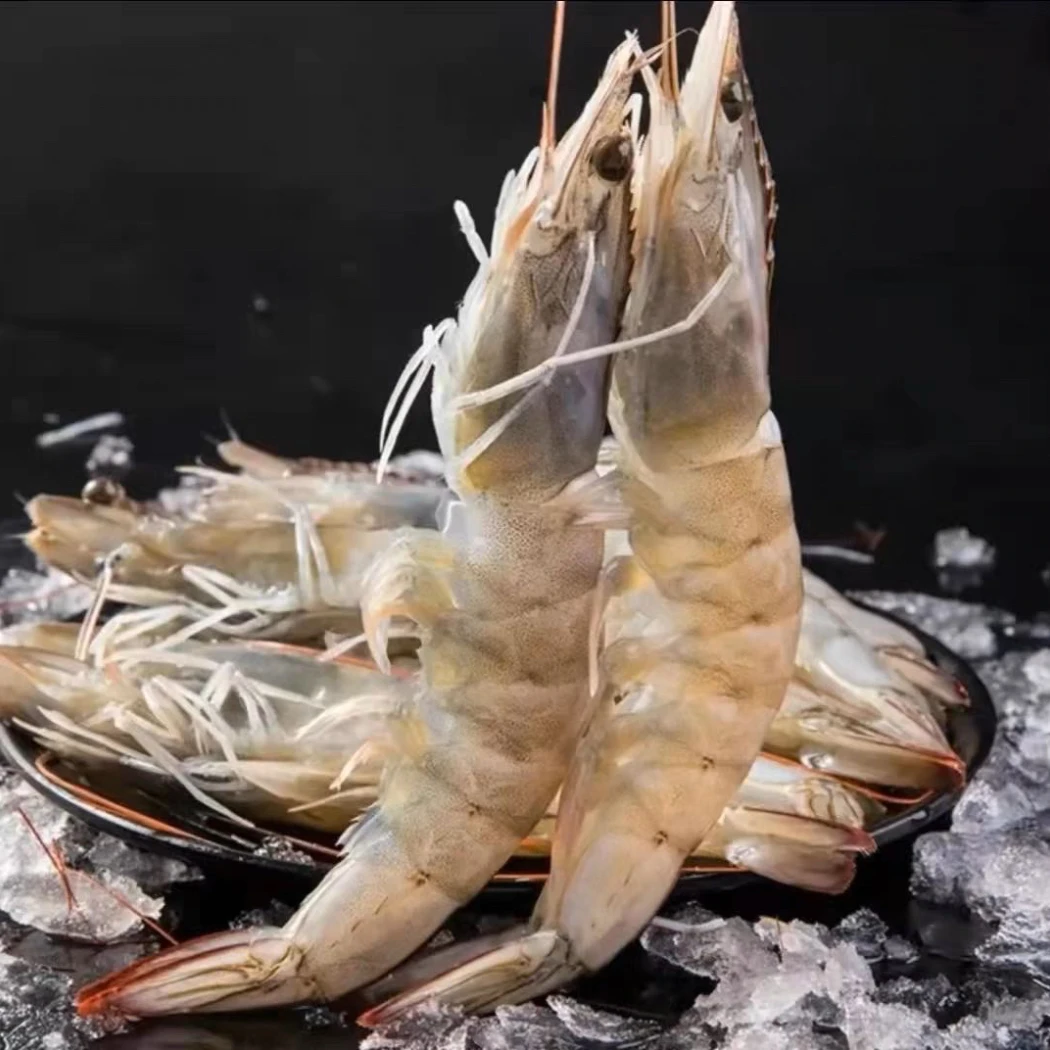 11.样样好 沙卢虾母 2盒顺丰冷链