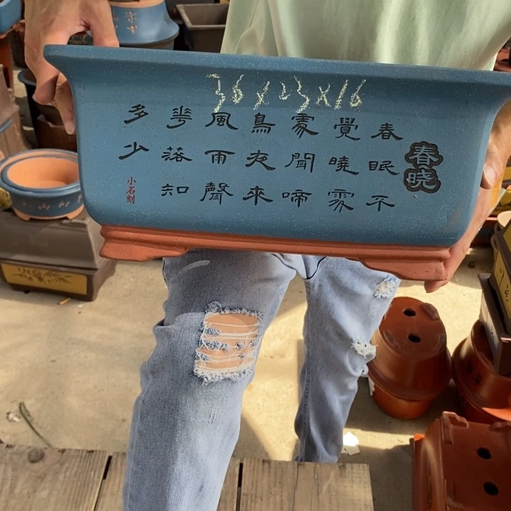 红陶20CM（含）-50CM（不含）紫砂艺术学院