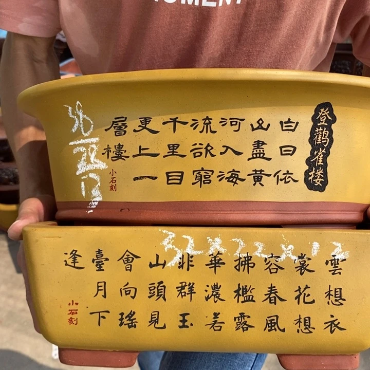 红陶20CM（含）-50CM（不含）花盆花开