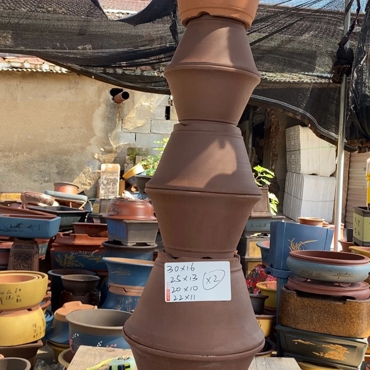 红陶20CM（含）-50CM（不含）花盆花开
