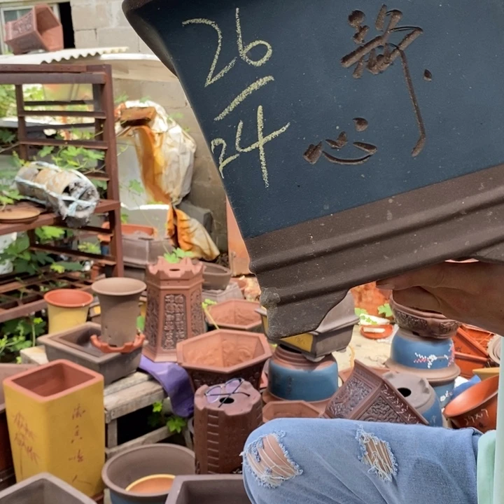 红陶20CM（含）-50CM（不含）紫砂艺术学院