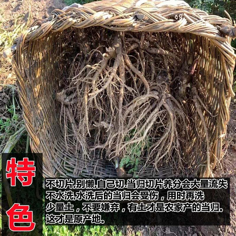 现货一物一拍现货包邮