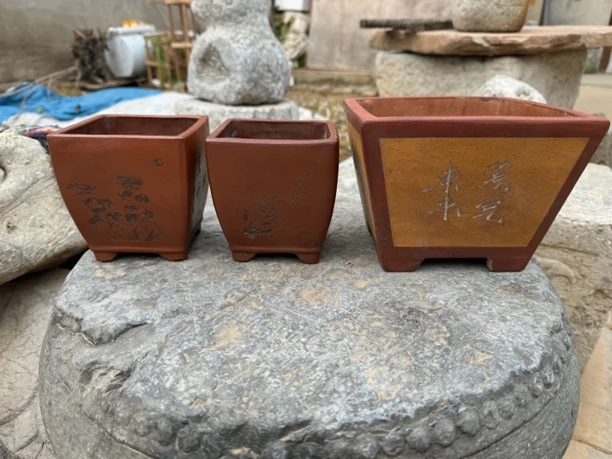 紫砂的花盆，，，，，，，，，，