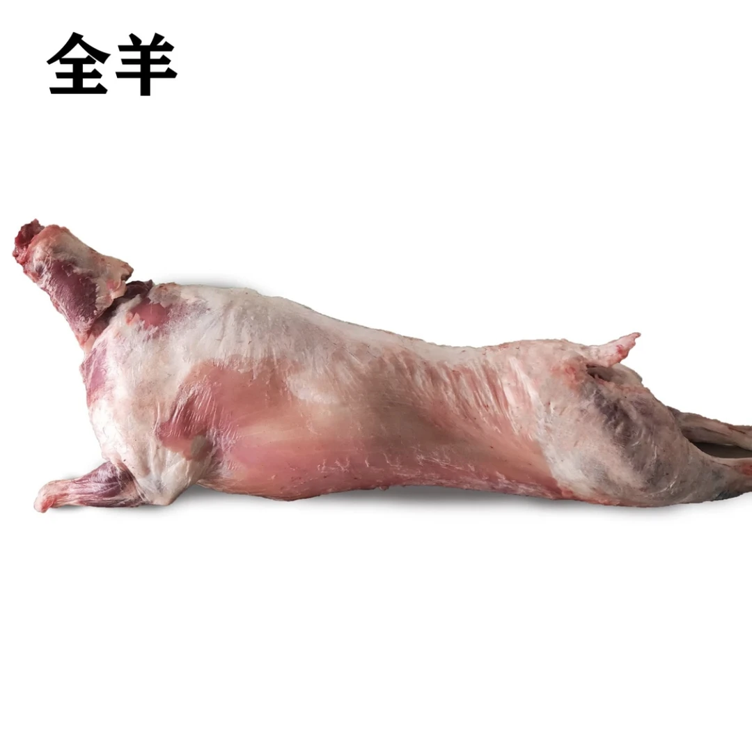 青海藏系羊 青藏高原精选全羊 顺丰/京东 包邮现发 全羊40/50斤