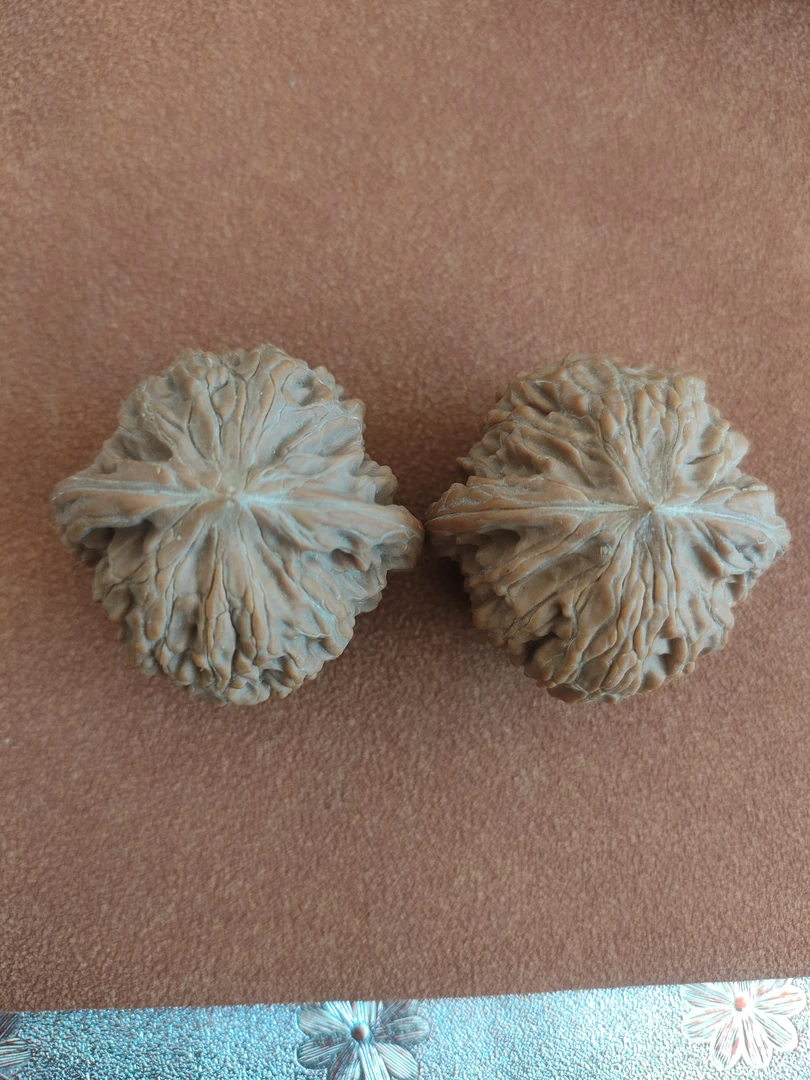 山地红皮磨盘狮子头