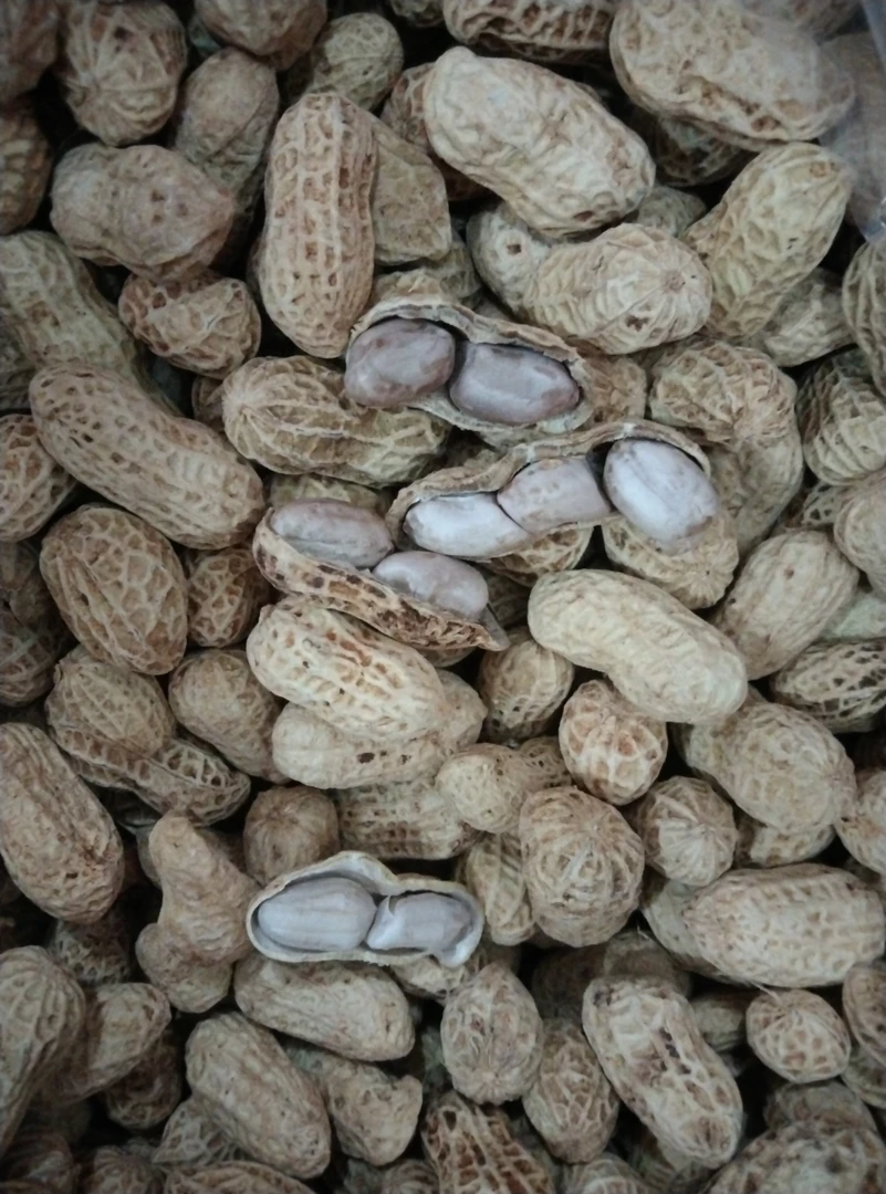 【精选】新农家水煮花生晒干2－5装农产品花生炒货干货