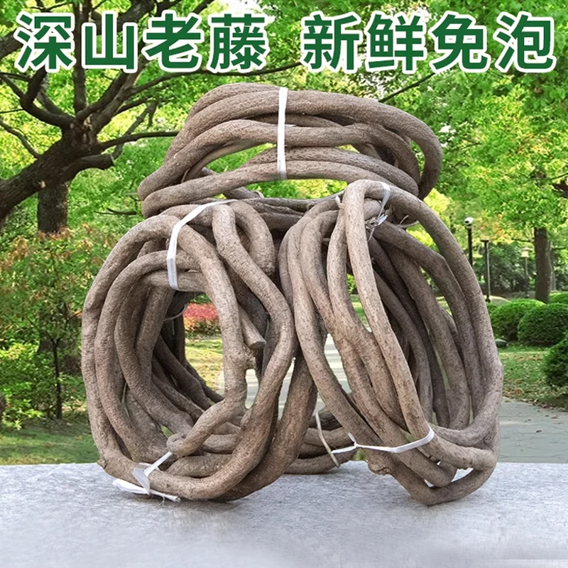 树藤枯藤婚庆装饰红山藤管道仿真藤条葡萄叶藤蔓老藤树枝干假植物