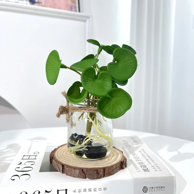 仿真绿植多头铜钱草小盆栽植物桌面客厅绿色装饰绿植盆栽小摆件