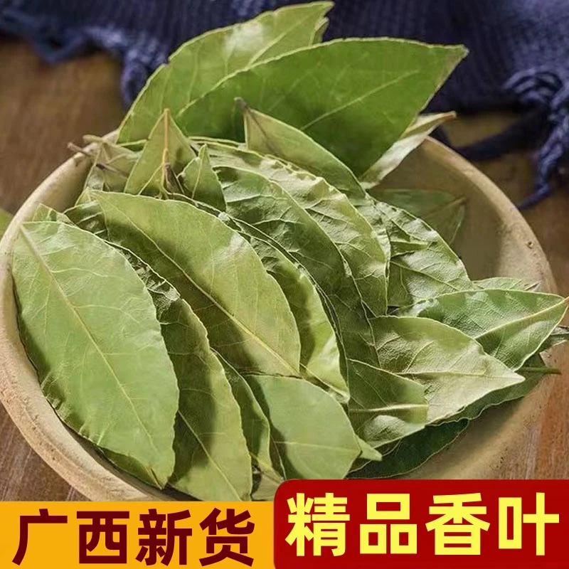 香叶月桂叶严选产地干净香叶优质精品香叶炖排骨调味料烹饪大料