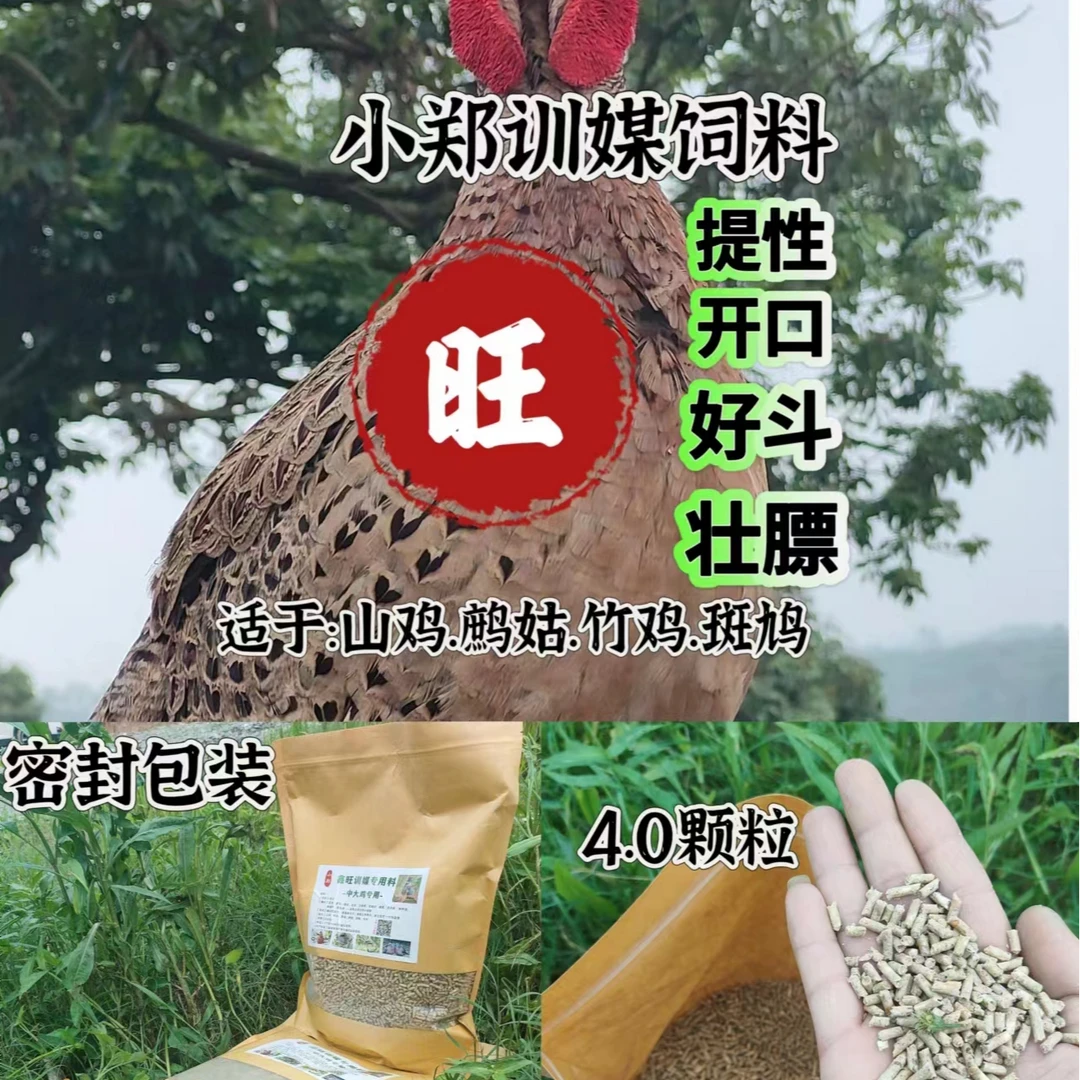 鑫旺鸡媒专用.快速提性.壮膘.好斗.增加毛羽.鸡冠各种营养3斤包邮