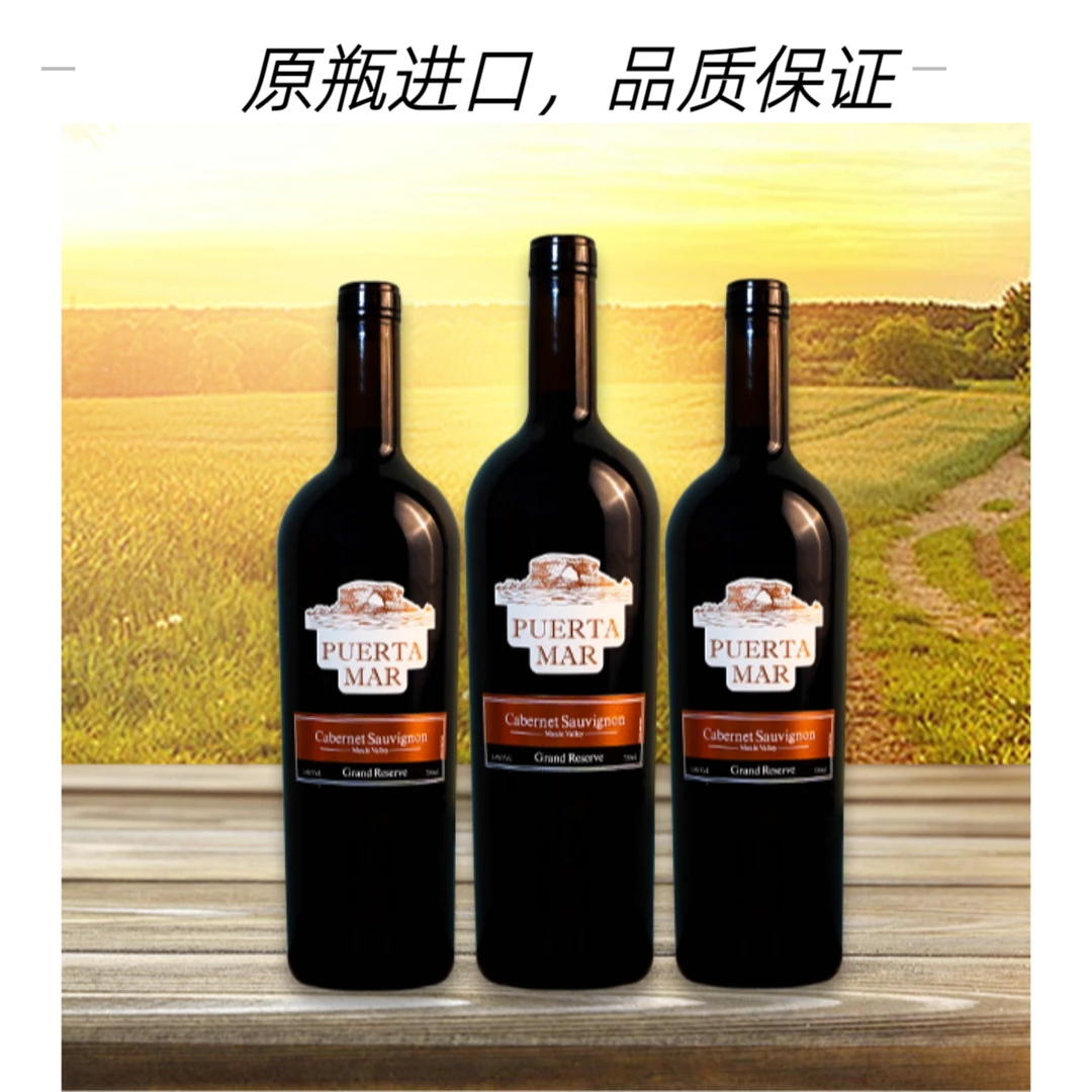 PUERTA MAR特级珍藏进口赤霞珠红葡萄酒原瓶原装单宁柔和酒庄直供