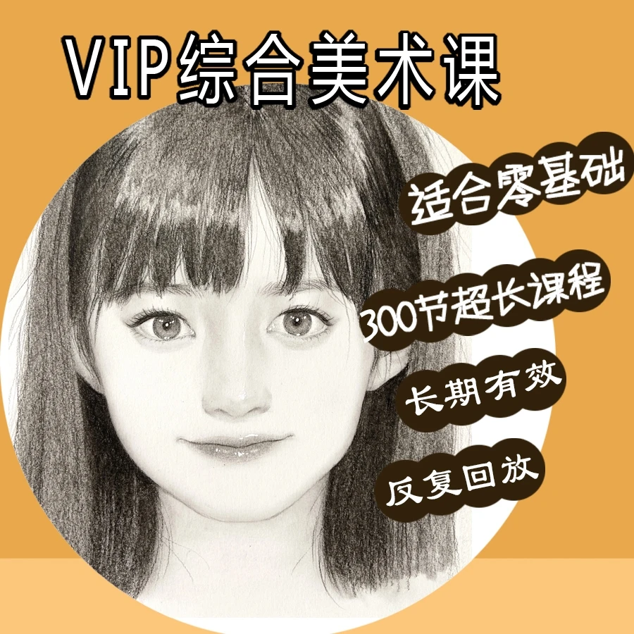 零基础VIP综合课(素描人物+素描基础+动漫+彩铅)