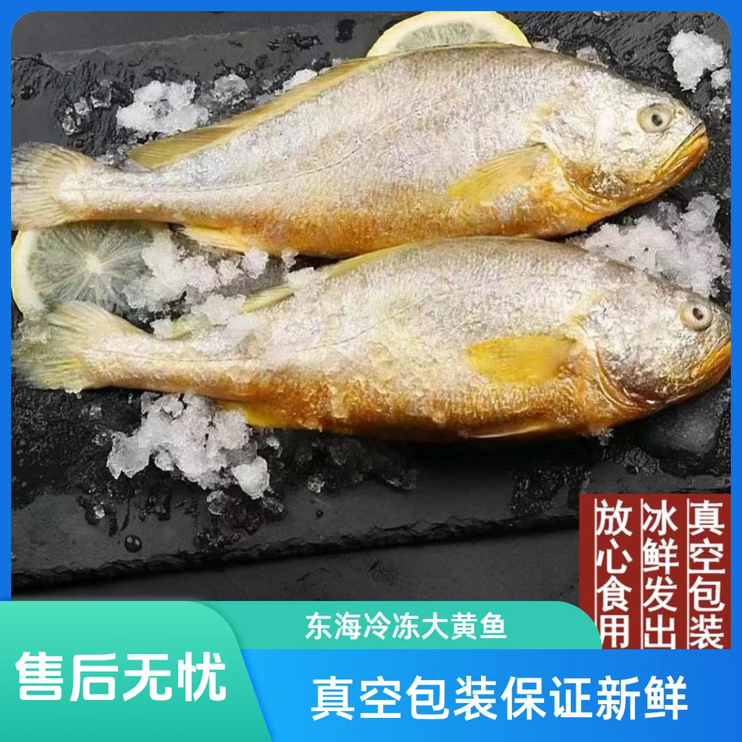 【冷冻大黄鱼★方欣海鲜直发】东海冷冻大黄鱼2条/1200g