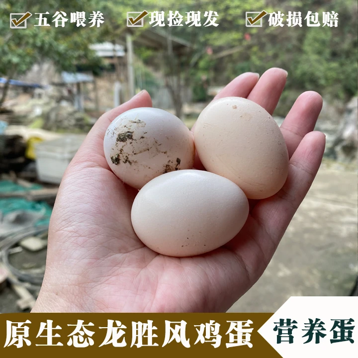 【食用】土鸡蛋 新鲜营养鸡蛋食材农产品生鲜 蛋黄