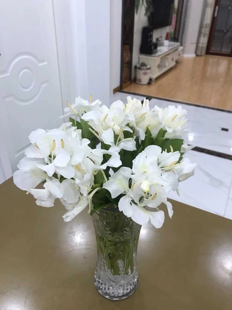 白姜花鲜切花浓香型室内水养家居装饰花卉