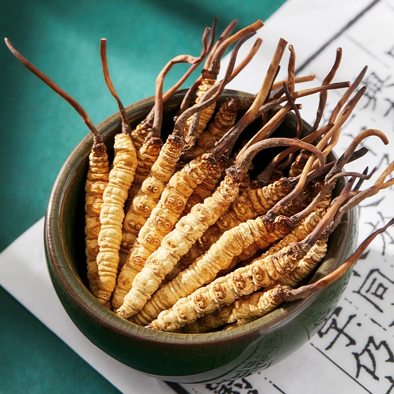 【玛朵专属】3根/克50根 2024头茬一级干冬虫夏草滋补礼品甄选品质