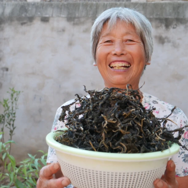 河南特产芝麻叶三种规格 晒干干菜芝麻叶食用农产品